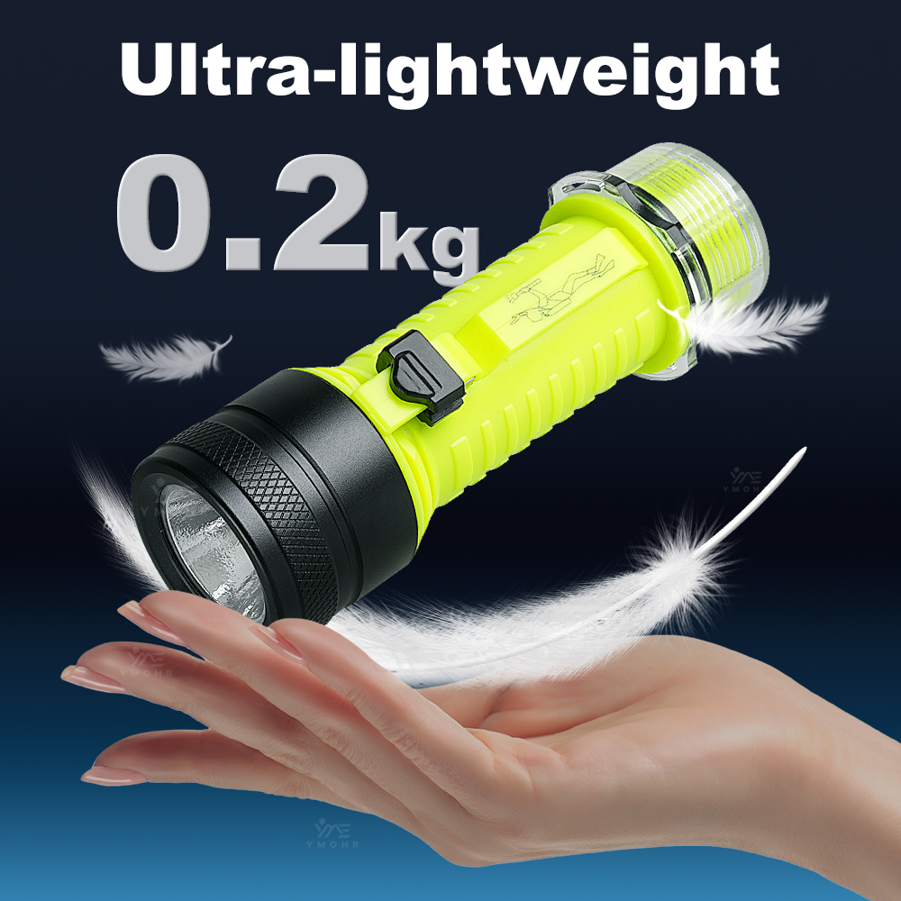 New Portable Professional LED  - Fishing Light recension och pris
