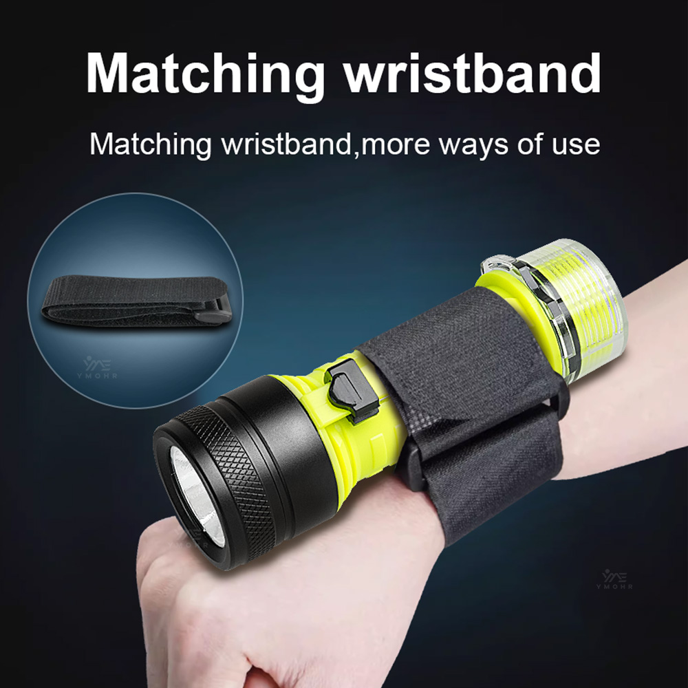 New Portable Professional LED  - Fishing Light recension och pris