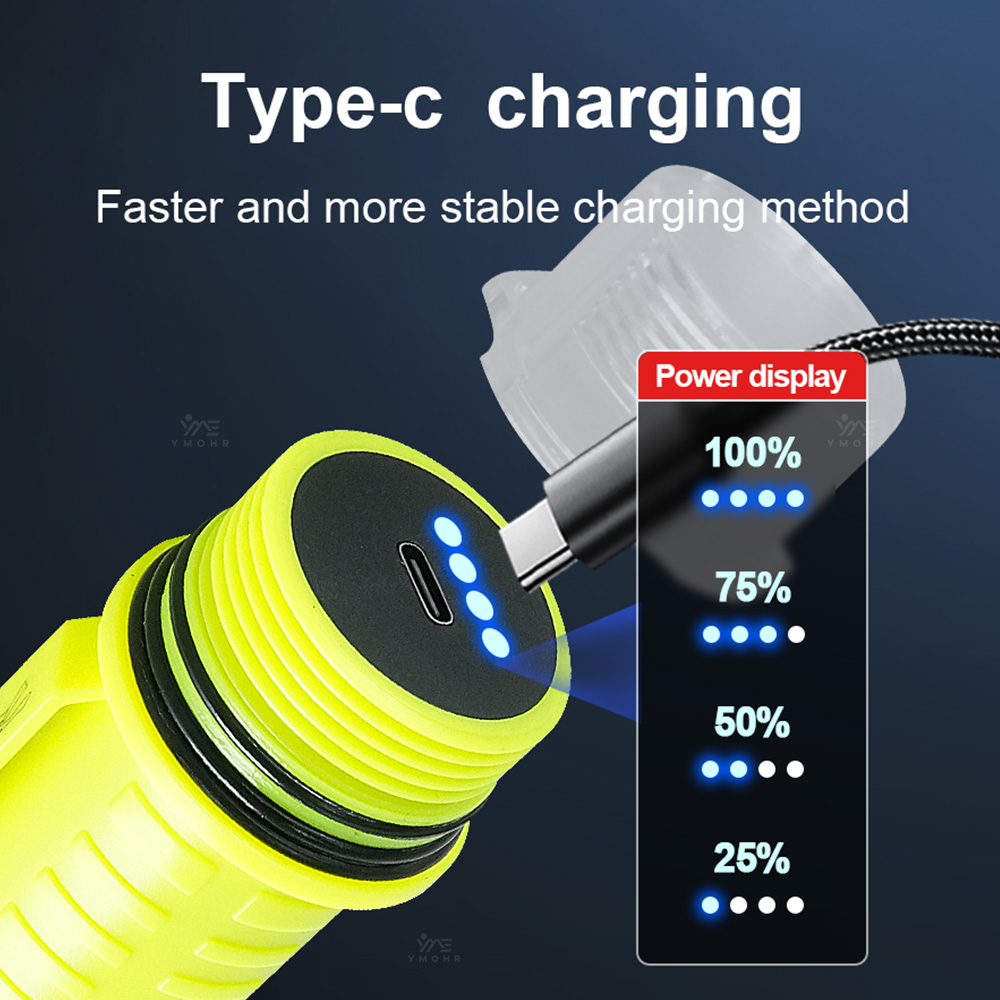 New Portable Professional LED  - Fishing Light recension och pris